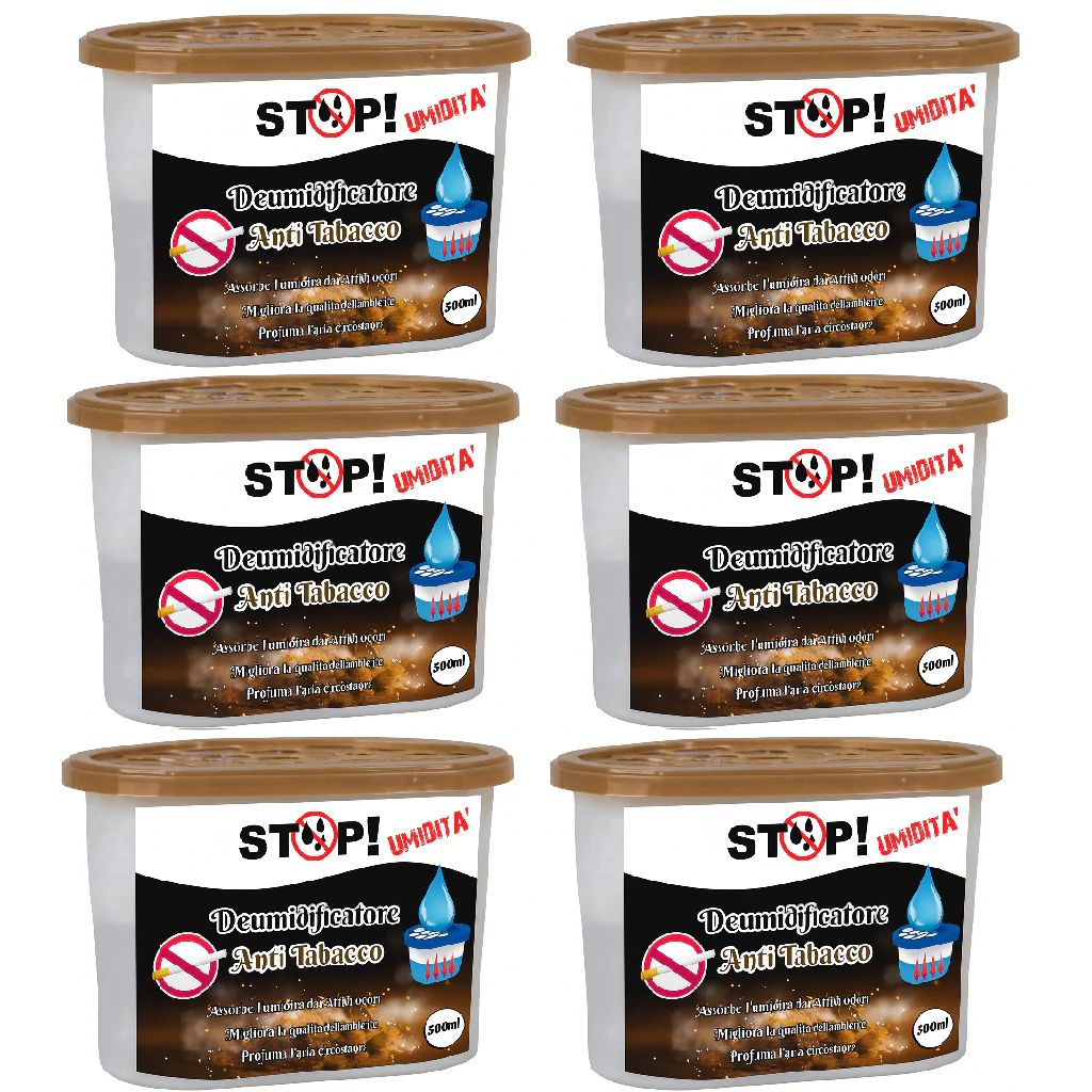 6pz Deumidificatore Casa Portatile 500ml contro Muffa Assorbi Umidità Antitabacco